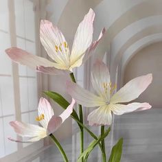 a vase filled with white flowers on top of a table