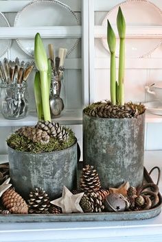 two metal pots filled with plants and pine cones on top of a tray next to other items