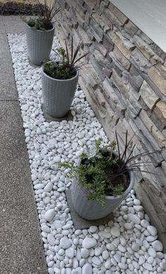 three potted plants sitting on top of a rock garden bed next to a brick wall