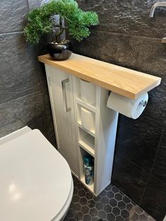 a bathroom with a toilet, sink and plant on the counter top in front of it