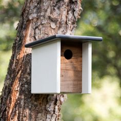 a bird house hanging from the side of a tree