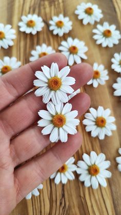 small white flowers being held in the palm of someone's hand on a wooden table