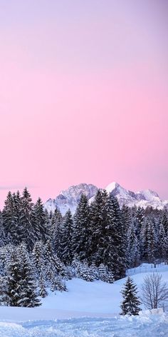 a snowy landscape with trees and mountains in the background