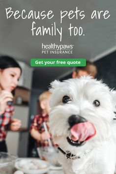 a white dog standing on top of a kitchen counter next to a woman and child