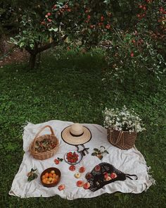 a picnic blanket on the grass with apples and other fruits in baskets, including strawberries