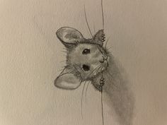 a pencil drawing of a mouse with a balloon attached to it's back end