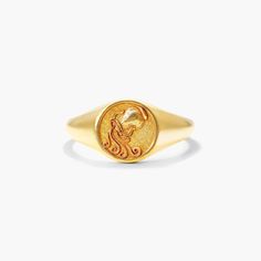 Spiritual Yellow Gold Tarnish-resistant Signet Ring, Symbolic Gold Zodiac Rings, Symbolic Gold Rings With Zodiac Sign, Yellow Gold Zodiac Rings In Symbolic Style, Symbolic Zodiac Sign Yellow Gold Rings, Symbolic Yellow Gold Zodiac Sign Rings, Symbolic Zodiac Sign Rings In Yellow Gold, The Water Bearer, Water Bearer