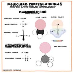 the diagram shows different types of membranes and their functions in an animal's body