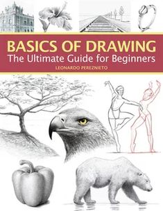 the book cover for basics of drawing the ultimate guide for beginners