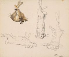 three drawings of rabbits, one jumping and the other laying on it's back