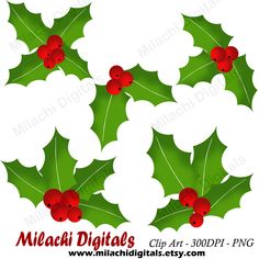 christmas holly leaves with red berries clipart for scrapbooking and paper crafting