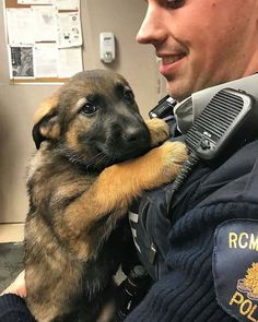 a police officer holding a puppy in his lap with the caption nervous cadet reporting for duty