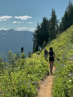 two people walking down a trail in the mountains with flowers on both sides and trees to the side