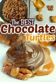 the best chocolate turtle treats are made with pecans, pretzels and peanut butter