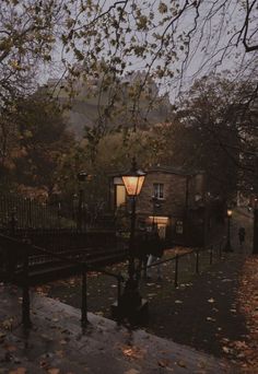 a street light sitting on the side of a road next to a tree filled with leaves