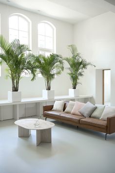 a living room filled with furniture and potted plants