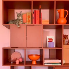 a cat sitting on top of a shelf next to books and vases in a room