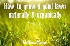 grass with the words how to grow a good lawn naturally and organically