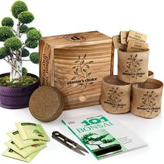 the bonsai tree is next to its wooden box and other items for making it