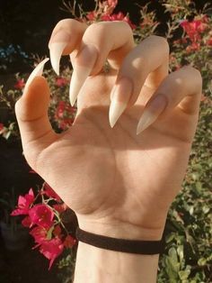 #BEAUTY, #RELATIONSHIPS #Fashion #Animals #Outfits #Winter Outfits #Animals Vampire Nails, Long Natural Nails, Sharp Nails, Gothic Nails, Claw Nails, Goth Nails, Body Modification, Body Mods, Almond Nails