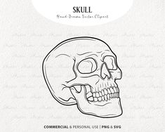 a drawing of a skull with the words,'commercial & personal use only svg '