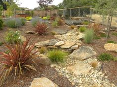 a garden with rocks and plants in it