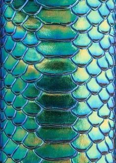 the back side of a blue and green snake skin