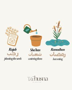 four different types of plants with names in arabic and english, including the name of each plant