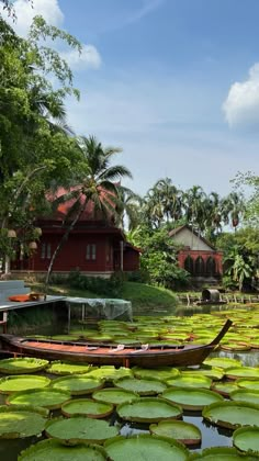 a boat floating on top of a lake filled with water lillies under a blue sky