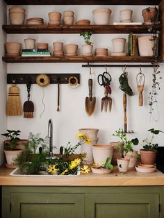 pots and pans are hanging on the wall above a kitchen sink with plants in it