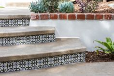 cement steps leading up to a planter with succulents