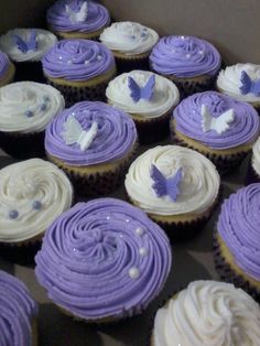 there are many cupcakes with purple frosting on them