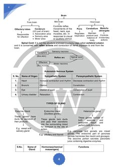 an image of a computer user's workflow diagram