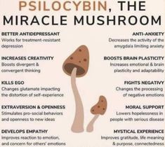 Mushroom Safe To Eat, Mushroom Health Benefits, Psychic Development Learning, Growing Mushrooms At Home, Mushroom Benefits, Medical Herbs, Survival Skills Life Hacks, Magic Herbs, Home Health Remedies