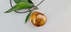 Welcome to my gemstone shop. I guarantee that all my items are handmade by me and made of genuine natural real Baltic Amber gemstone. Teardrop-shaped Natural Baltic Amber.  This handmade pendant is made of yellow amber and has beauty created by nature and a fly- insect inside.  Before buying, please kindly check the dimensions of the product. This item is made of natural  not pressed amber  Weight: ~ 13.00 gr.  Pendant size: ~ 4.90 x 3.50 cm. (1.92x1.38 inch).  Free shipping! Baltic Amber is a natural gemstone. Amber is surprisingly light: it will float in a saturated salt solution--but not in ordinary seawater.  This makes it suitable for large beads or pendants that are still comfortable to wear despite their size.  Amber comes in more colors than just yellow and golden.  It might also b Handmade Yellow Baltic Amber Necklaces, Handmade Yellow Baltic Amber Necklace, Handmade Baltic Amber Necklace In Yellow, Amber Teardrop Cabochon Necklace, Handmade Baltic Amber Teardrop Jewelry, Unique Yellow Teardrop Jewelry, Handmade Amber Teardrop Pendant Necklace, Cabochon Baltic Amber Necklace As Gift, Baltic Amber Cabochon Necklace For Gift