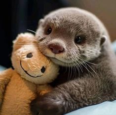 an otter hugging a teddy bear on top of a bed