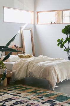 a bed sitting next to a tall plant in a room with two windows and a rug on the floor