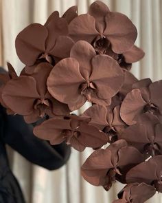 a close up of a bunch of flowers on a table