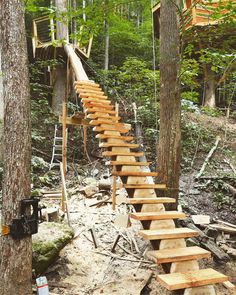 a wooden staircase made out of wood in the woods