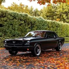 a black mustang parked in front of some trees