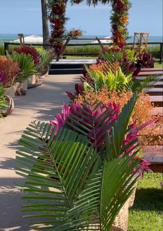 an outdoor area with benches and plants on the grass near the water's edge