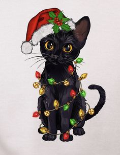 a black cat wearing a christmas hat and lights