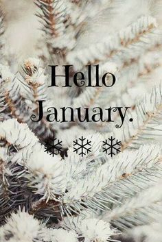 the words hello january are written in pink and black on top of snow covered branches