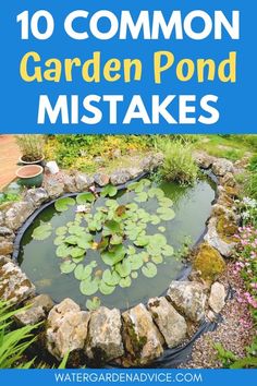 a garden pond with water lilies in it and the words 10 common garden pond mistakes