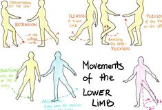 a drawing shows the movements of the lower body and upper body in different directions, including movement