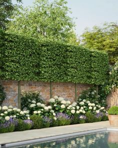 a pool surrounded by white flowers next to a brick wall