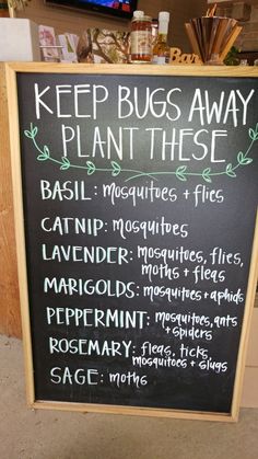 Plants that keep bugs away. Ideas from a plant store. Plants That Repel Bugs, The Plant, Permaculture, Garden Planning, Garden And Yard