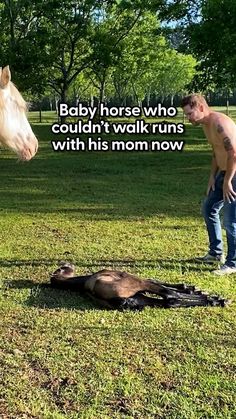 a man standing next to a horse on top of a lush green field with a dead animal