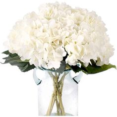 a vase filled with white flowers on top of a table