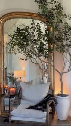 a living room with a large mirror and potted tree